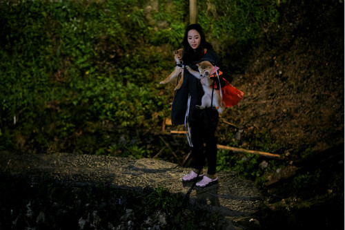 张钧甯喂狗破音 开关游戏成终极黑洞