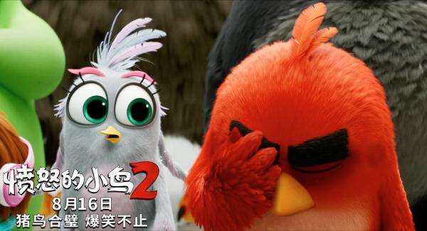 《愤怒的小鸟2》曝猪鸟大计版预告 冒险带你逃离酷暑