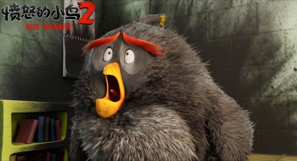 《愤怒的小鸟2》确认引进国内猪鸟同盟开启今夏最爆笑动作冒险