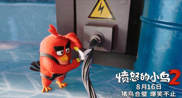 《愤怒的小鸟2》曝猪鸟大计版预告 冒险带你逃离酷暑