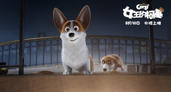 《女王的柯基》高能情节俘获众人心