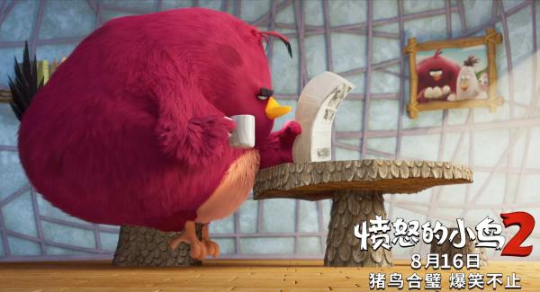 《愤怒的小鸟2》816全国上映精彩超前作成8月最好笑电影