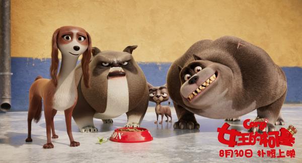 《女王的柯基》高能情节俘获众人心