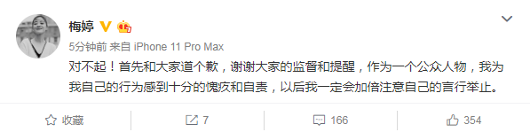 网友曝光梅婷踩飞机显示屏照片 本人道歉：以后会注意言行