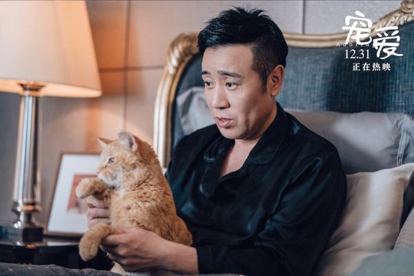 《宠爱》曝“于和伟李兰迪”特辑 编剧史航力荐：很有爱，看得一路泪光莹莹