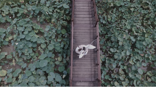 美食博主夏一味设宴邀请国家一级演奏家蔡群慧，共享青莲雅集之乐