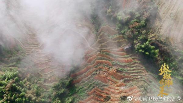 酣畅热烈的《傲椒的湘菜》，美食人文类纪录片的正确打开方式