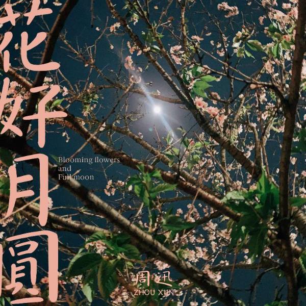 周迅全新单曲《花好月圆》浓情上线，流金岁月里有万种风情