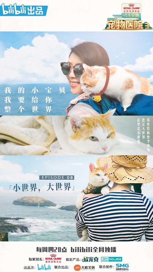 《宠物医院3》温暖收官 主题曲MV首次发布