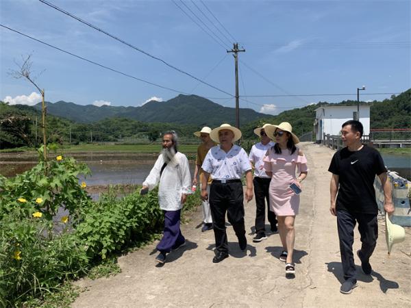影视剧《袁隆平》剧组采风“爷爷的水稻田”