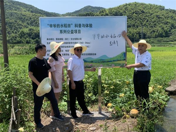 影视剧《袁隆平》剧组采风“爷爷的水稻田”