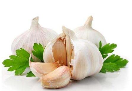 大蒜虽好 但食用时要注意这4点