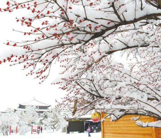 三九天最冷时节 中医教你如何养生