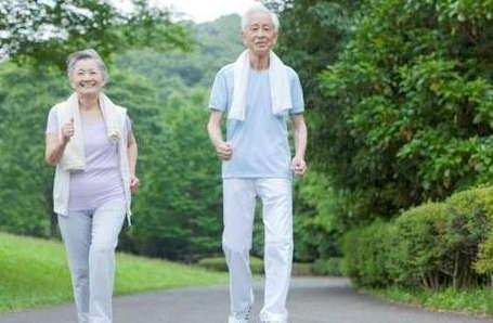 日常养生 多选这4种药材