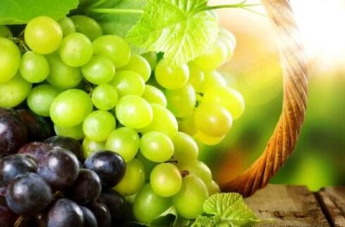 冬天吃哪些水果更适合减肥？五种冬日减肥水果