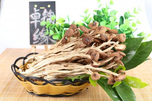 茶树菇发霉了是否可以食用取决于具体情况