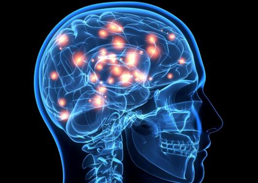 学习第二语言有益大脑 什么样的人大脑更健康?