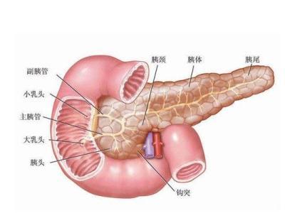 阴茎炎如何预防&nbsp;推荐5个方法