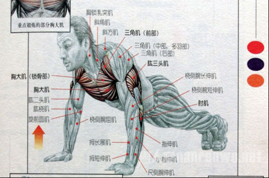 男人想要保持最好身材 这些健身捷径更适合你