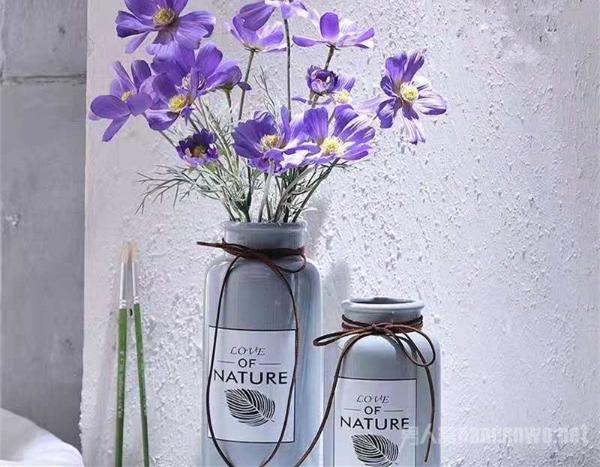 家居装饰花瓶摆件 美化空间点亮生活带给你好心情