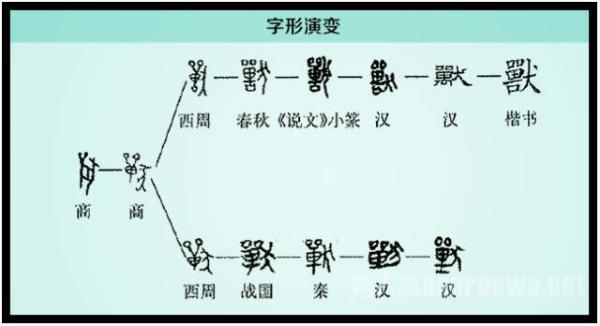 汉字是中华文化艺术瑰宝 大家了解兽字的由来吗？