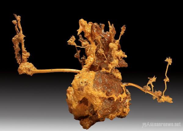 中国根雕艺术发展史 让中国根雕受到越来越多人的青睐