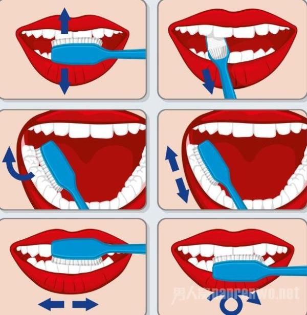 怎么选择牙刷 选择一款合适的牙膏 每天刷出好牙齿