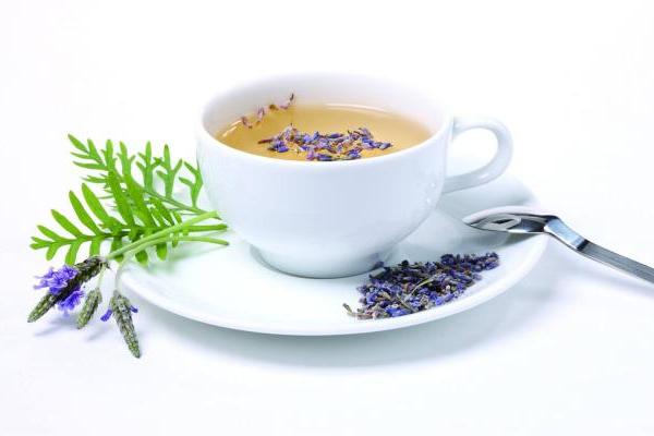 养生茶 养生第一步从喝茶开始 做健康的养生居宝藏青...