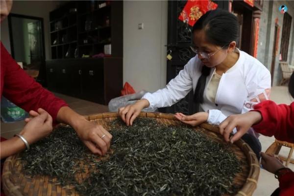 普洱生茶的加工工艺流程是什么？