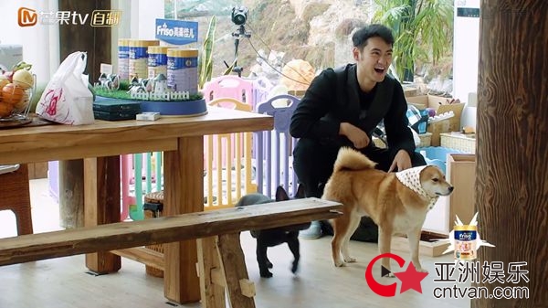 张歆艺为“亲儿子”八戒穿裙子 袁弘：丧心病狂