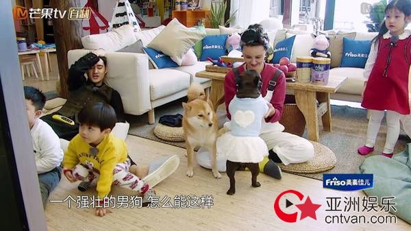 张歆艺为“亲儿子”八戒穿裙子 袁弘：丧心病狂