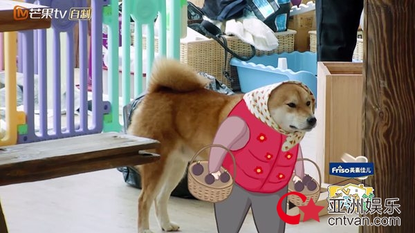 张歆艺为“亲儿子”八戒穿裙子 袁弘：丧心病狂