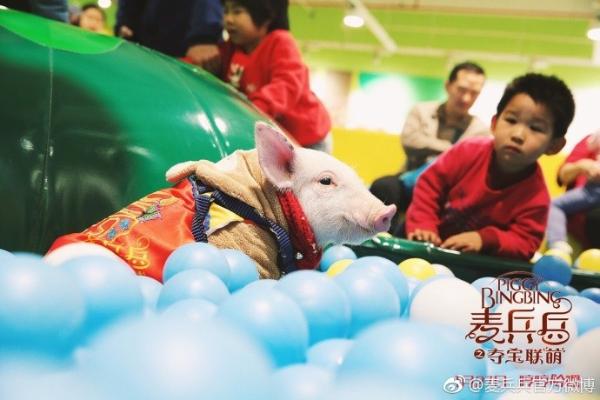 看欢乐电影夺同款玩偶 《麦兵兵》跨界合作出新招