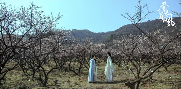 两性换位新尝试 另一种方式打开《凤囚凰》