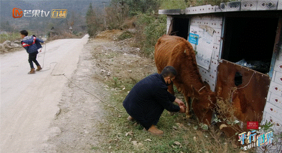 《变形计之平行世界》孙家入住四小时罢录