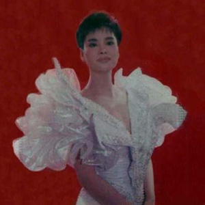 毛阿敏演唱歌曲《篱笆墙的影子》歌词介绍