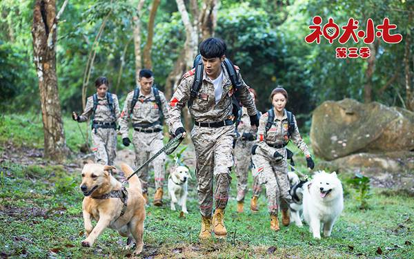 《神犬小七第三季》MV元气上线 治愈系萌宠领跑2018