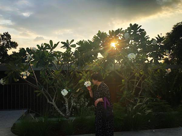 徐海乔带着父母去旅行 兼职摄影技术被称赞