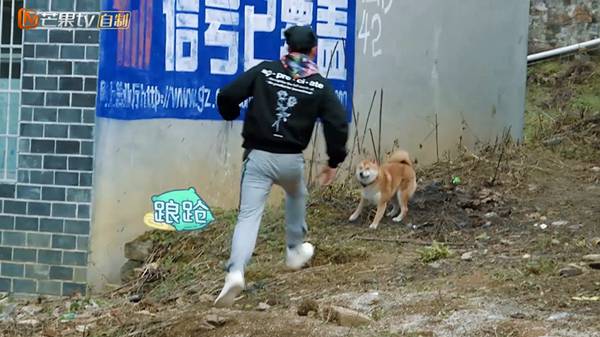 袁弘精心准备离别惊喜 途中上演疯狂追狗记