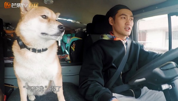 袁弘精心准备离别惊喜 途中上演疯狂追狗记