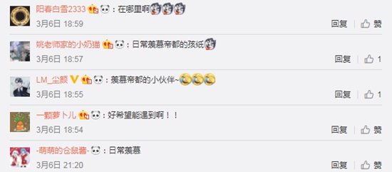 “痛”陆地、“包”天空！“灵契蓝”红遍全球