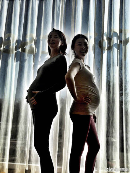 蒋勤勤和闺蜜一起晒孕肚照 力破塑料姐妹花传闻