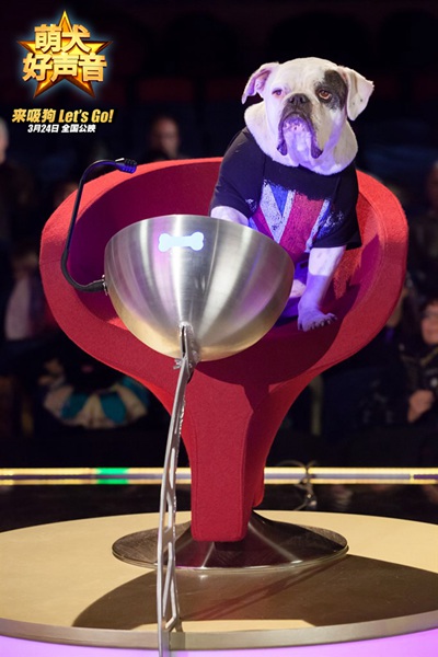 《萌犬好声音》推广曲MV温暖来袭 励志狗狗也