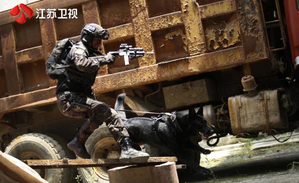 杨烁变身热血刑警 卧底身份被暴露《利刃出击》首播被称剧版《红海行动》