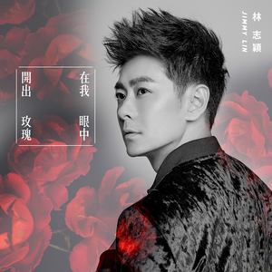 林志颖演唱歌曲《在我眼中开出玫瑰》歌词介绍