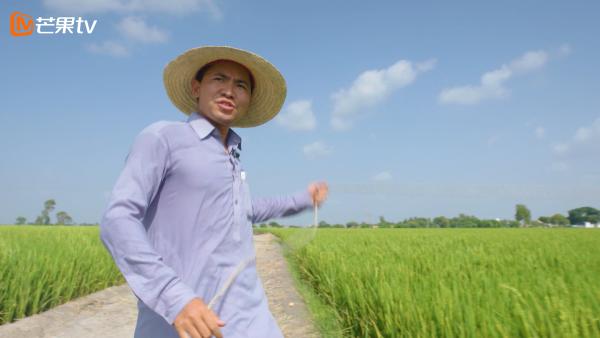 芒果TV《我的青春在丝路》今日开播 中国青年巴基斯坦种水稻被赞“不负青春”