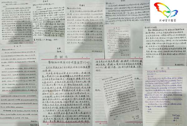 天使宝贝再度发声，慈善晚宴众星云集