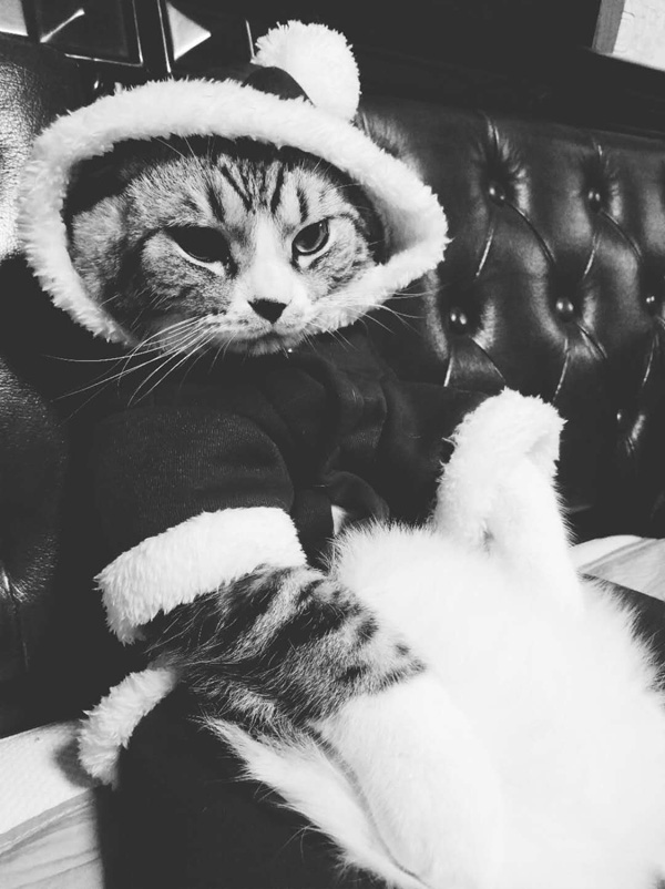 十八新歌首发，一个《忍》字唱哭了爱情里卑微的人