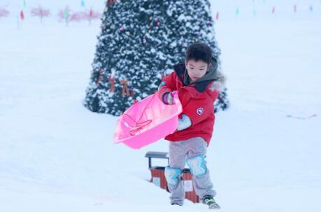 杨子黄圣依有钱还比我们拼,怪不得安迪没被宠坏