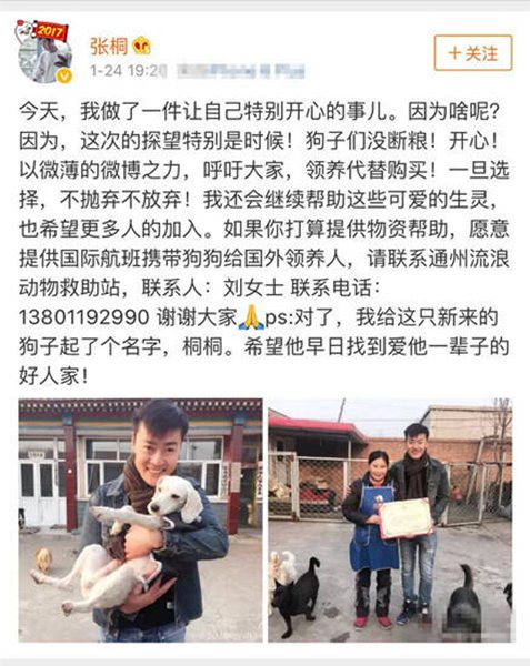 张桐动情讲述“搜救犬”的故事 海清李晨感动落泪